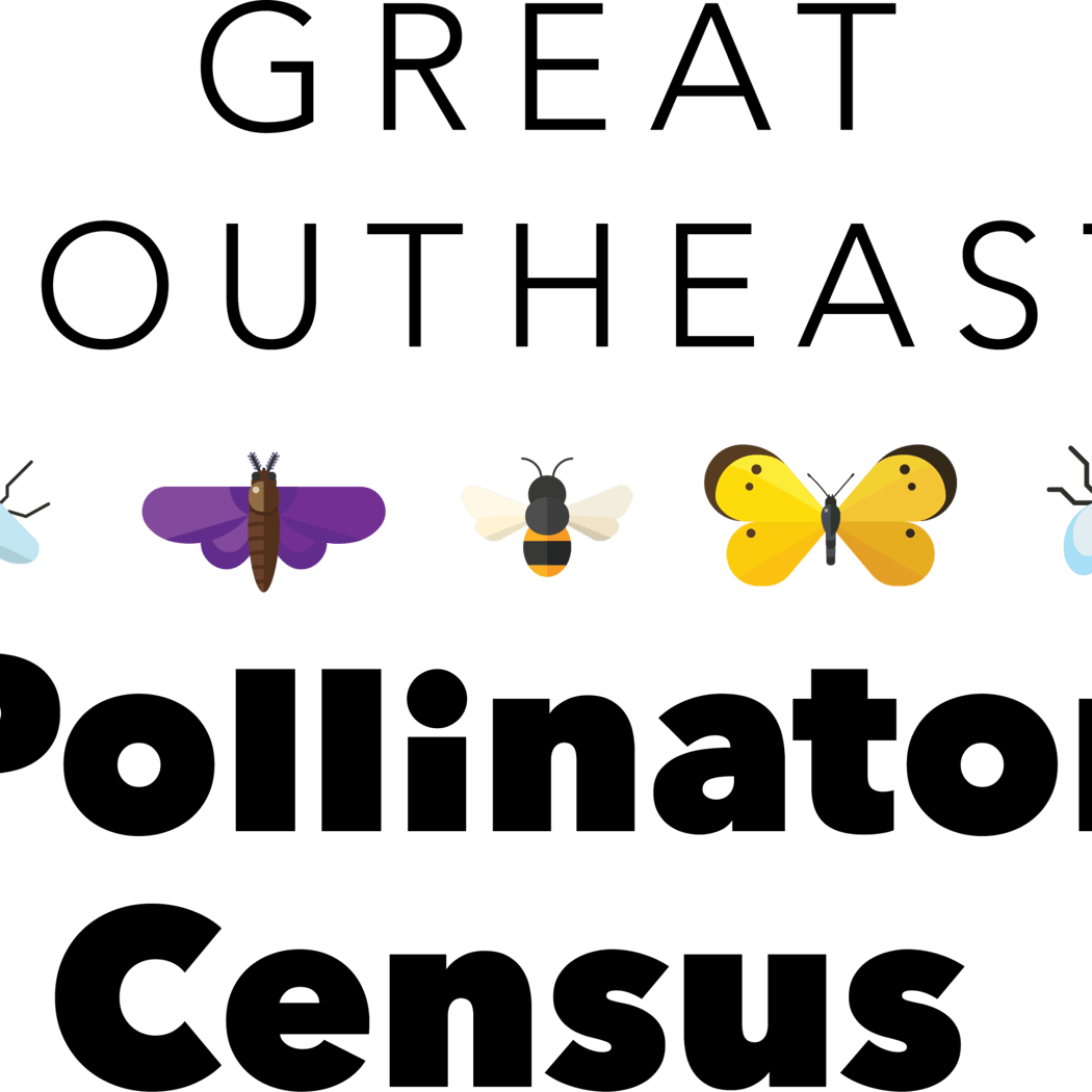 Great Southeast Pollinator Census 1